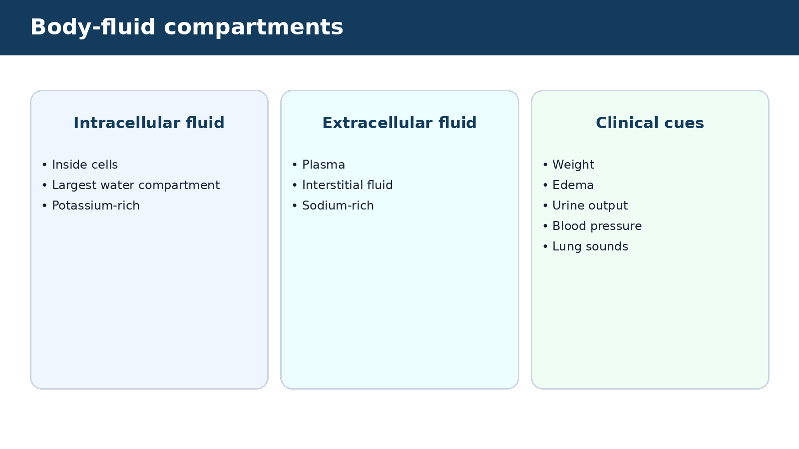 Body-fluid compartments — visual summary of the explanation in this section