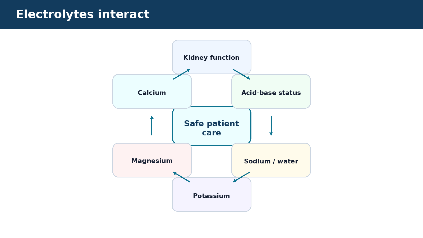 Electrolytes interact — visual summary of the explanation in this section