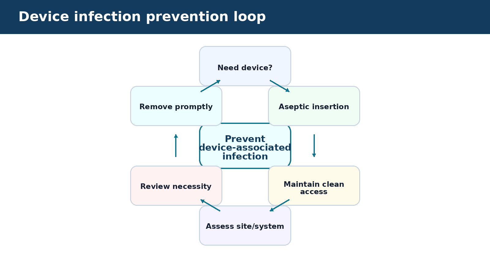 Device infection prevention loop — visual summary of the explanation in this section
