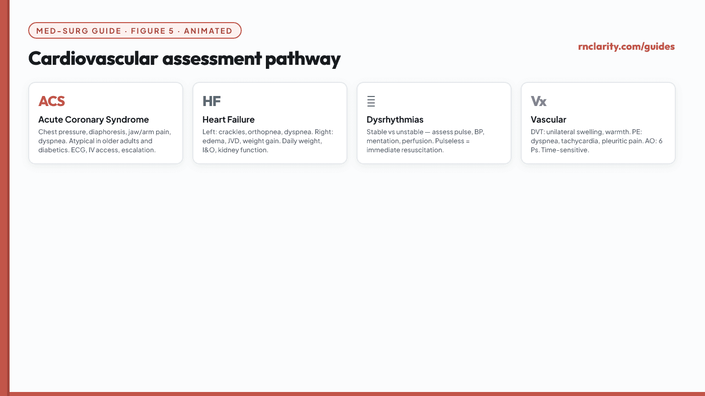 Animated cardiovascular assessment pathway showing acute coronary syndrome, heart failure, dysrhythmias and vascular disorders with key nursing priorities for each.