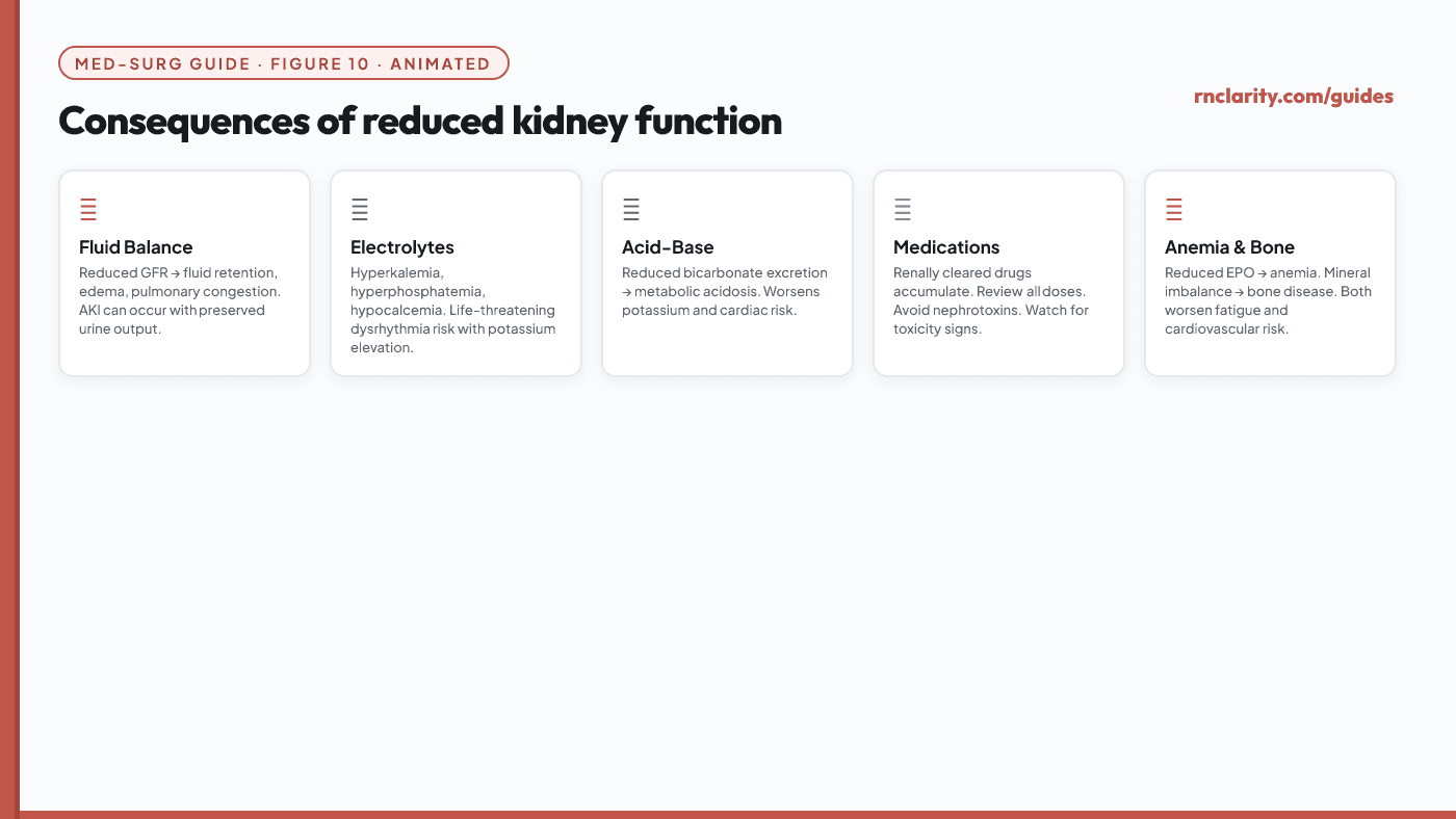 Animated diagram of the consequences of reduced kidney function — fluid balance, potassium, acid-base, medication clearance, anemia and mineral regulation — each consequence linked to nursing priorities.