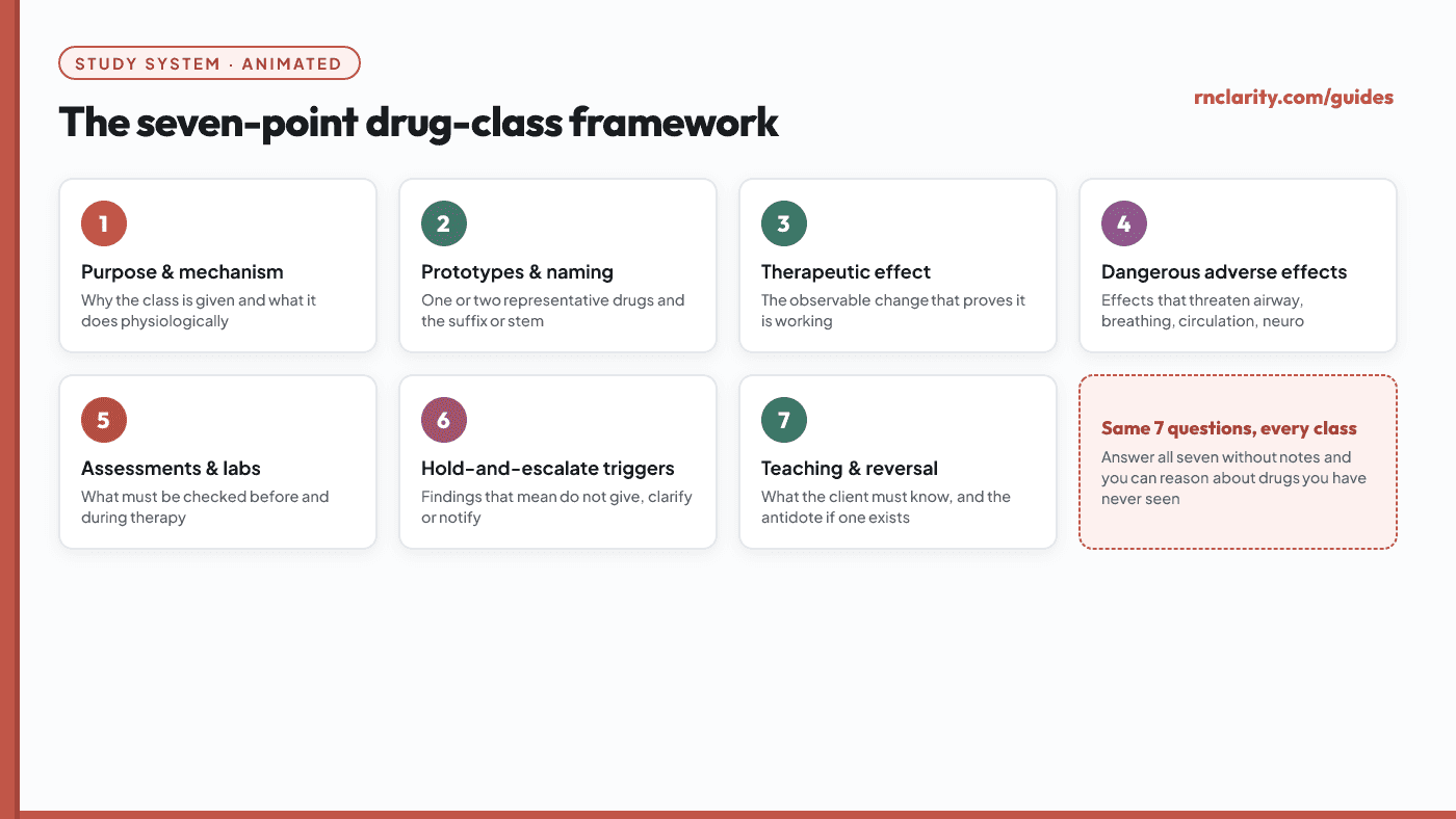 Animated diagram of the seven-point drug-class study framework cycling through each point in turn: purpose and mechanism, prototypes and naming, therapeutic effect, dangerous adverse effects, assessments and labs, hold-and-escalate triggers, and client teaching.