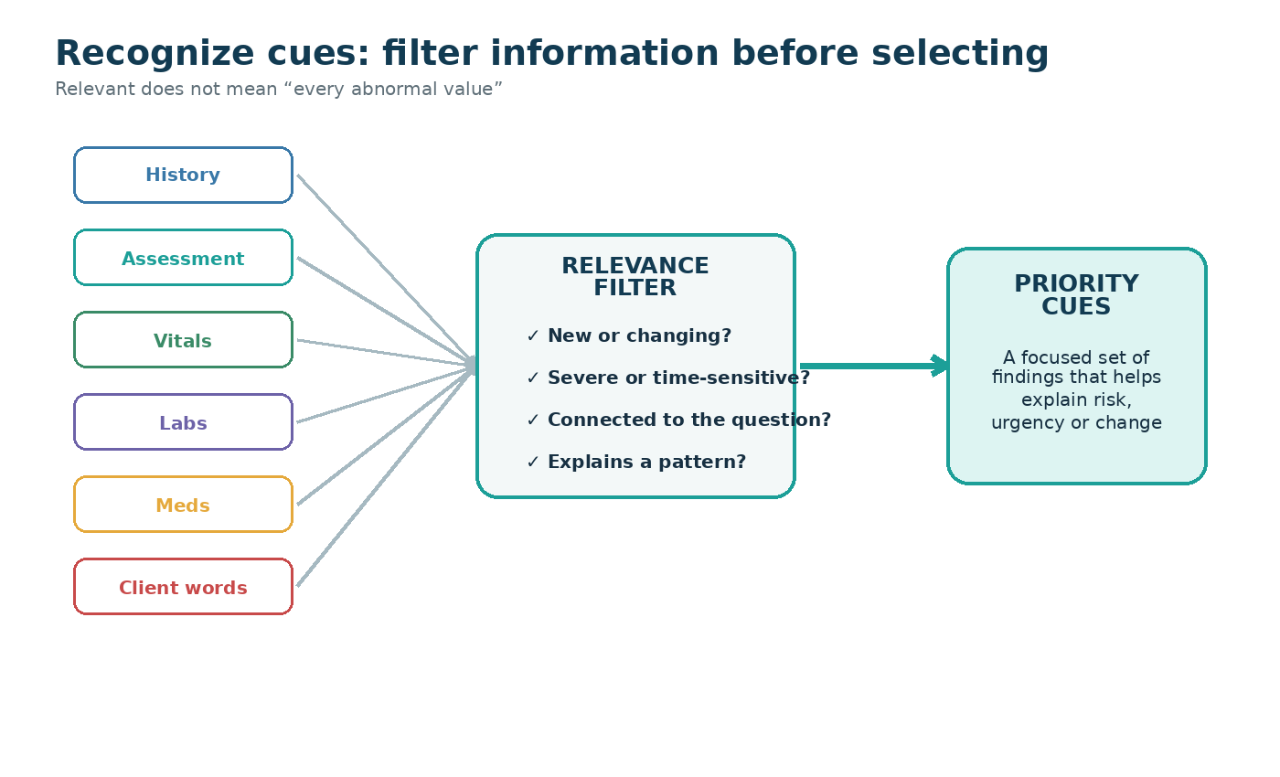 Diagram showing a relevance filter for recognizing cues. A large set of client data points enters the filter, which sorts them by whether they are new, changing, severe, or connected to the question. Only relevant cues pass through to the clinical judgment process.