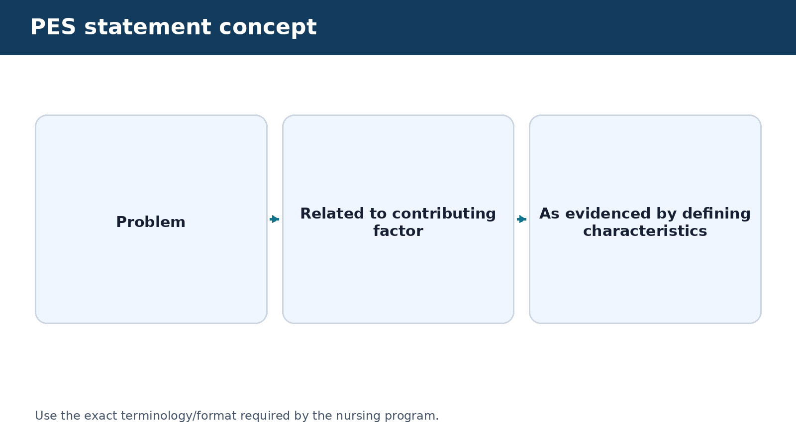 PES statement concept — visual summary of the explanation in this section
