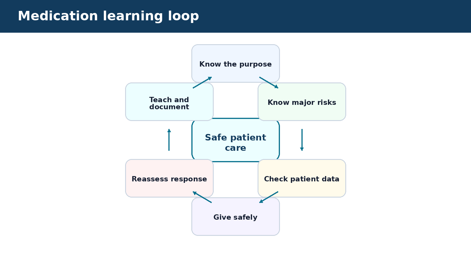 Medication learning loop — visual summary of the explanation in this section